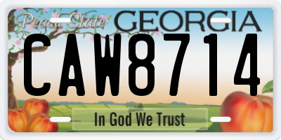 GA license plate CAW8714