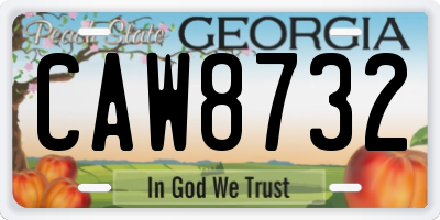 GA license plate CAW8732