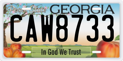 GA license plate CAW8733