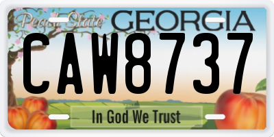 GA license plate CAW8737