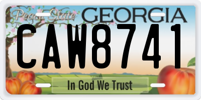 GA license plate CAW8741