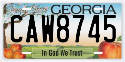 GA license plate CAW8745