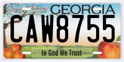 GA license plate CAW8755