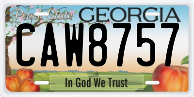 GA license plate CAW8757