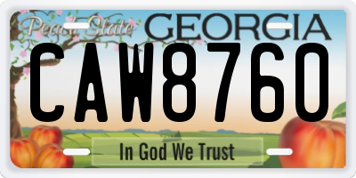 GA license plate CAW8760