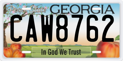 GA license plate CAW8762