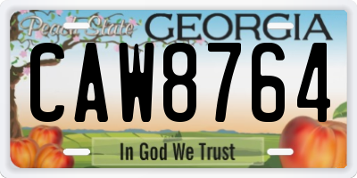 GA license plate CAW8764