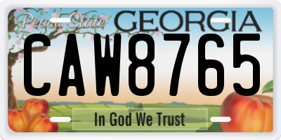 GA license plate CAW8765