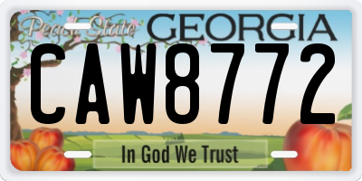 GA license plate CAW8772