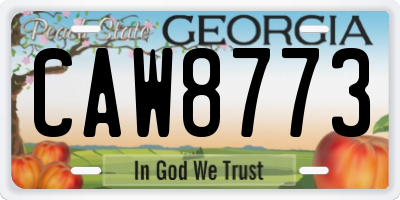 GA license plate CAW8773