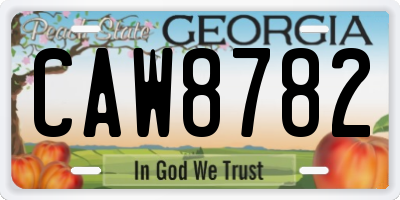GA license plate CAW8782