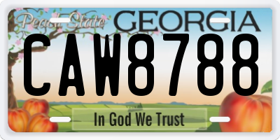 GA license plate CAW8788