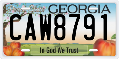 GA license plate CAW8791