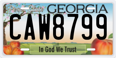GA license plate CAW8799