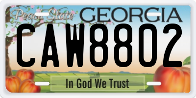 GA license plate CAW8802