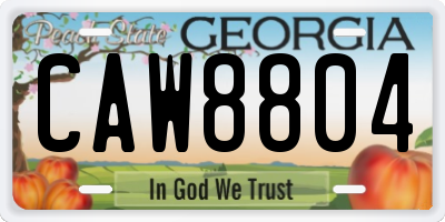 GA license plate CAW8804