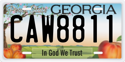 GA license plate CAW8811