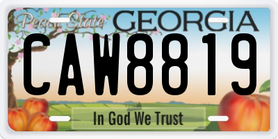 GA license plate CAW8819