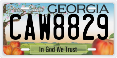 GA license plate CAW8829