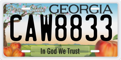 GA license plate CAW8833