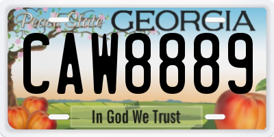 GA license plate CAW8889