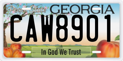 GA license plate CAW8901