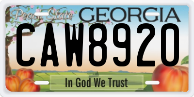 GA license plate CAW8920