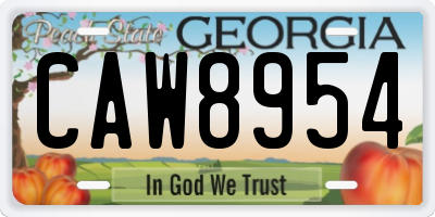 GA license plate CAW8954