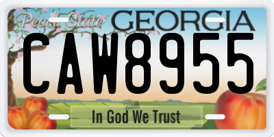GA license plate CAW8955