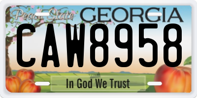 GA license plate CAW8958