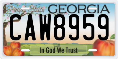GA license plate CAW8959