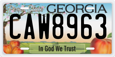 GA license plate CAW8963