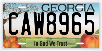 GA license plate CAW8965