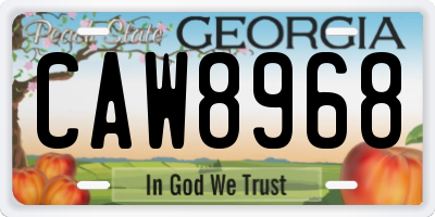 GA license plate CAW8968