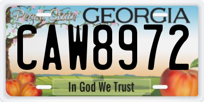 GA license plate CAW8972