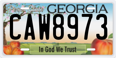 GA license plate CAW8973