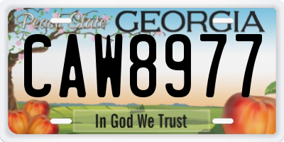 GA license plate CAW8977
