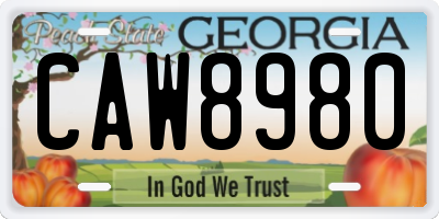 GA license plate CAW8980