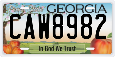 GA license plate CAW8982