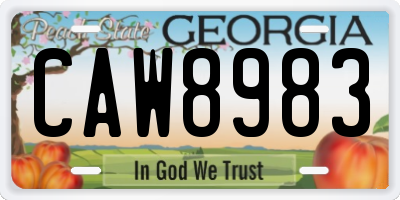 GA license plate CAW8983