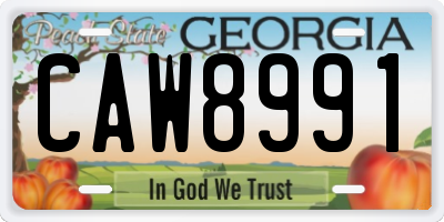 GA license plate CAW8991
