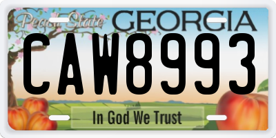 GA license plate CAW8993