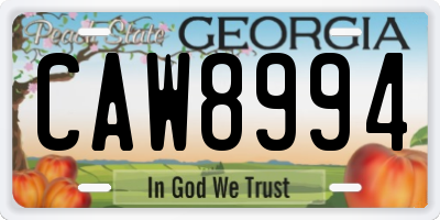 GA license plate CAW8994