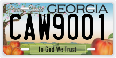 GA license plate CAW9001
