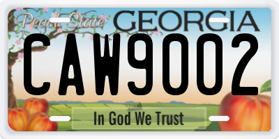 GA license plate CAW9002
