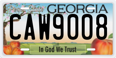 GA license plate CAW9008