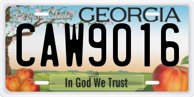GA license plate CAW9016