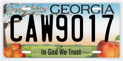GA license plate CAW9017