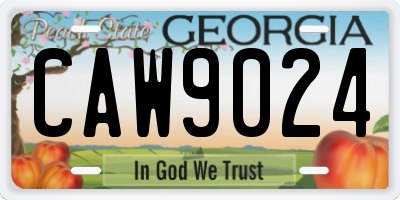 GA license plate CAW9024