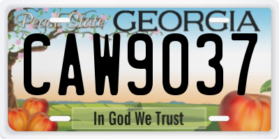 GA license plate CAW9037